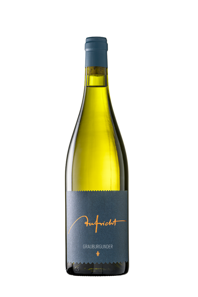 2024 Grauburgunder, Von Alten Reben ⚜, Weingut Aufricht, Bodensee, Baden