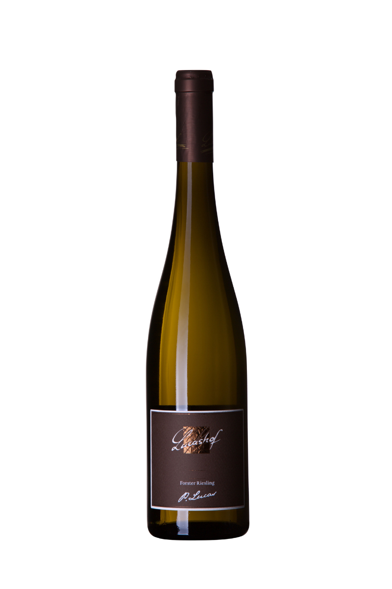 2023 Forster Riesling P. Lucas, Weingut Lucashof, Pfalz
