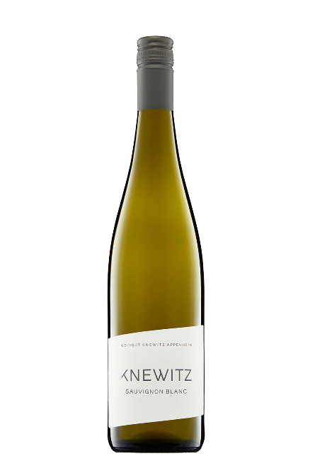 2023 SAUVIGNON BLANC, Weingut Knewitz, Rheinhessen