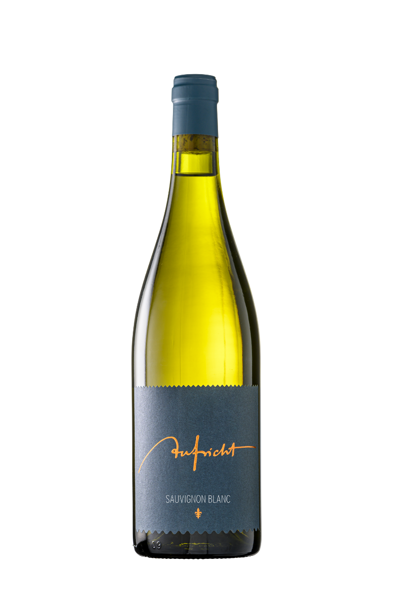 2023 Sauvignon Blanc "von alten Reben" ⚜, Weingut Aufricht, Bodensee, Baden