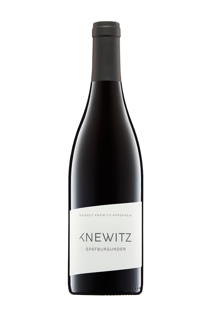 2022 Spätburgunder trocken, VDP.Gutswein, Weingut Knewitz, Appenheim, Rheinhessen