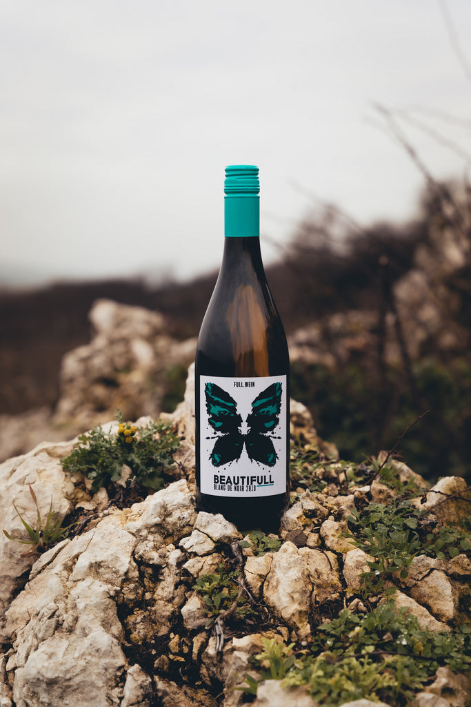 Weingut Full, Christopher Full, Mölsheim, Rheinhessen