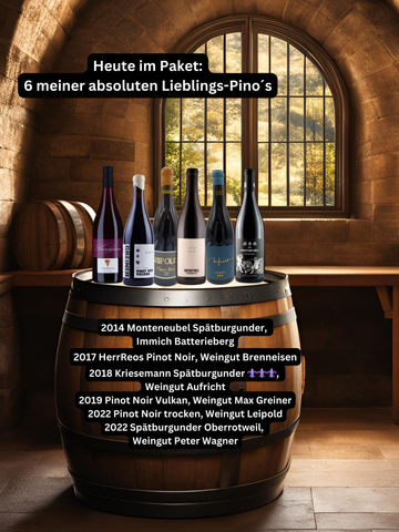 Meine Lieblings-Pinot´s